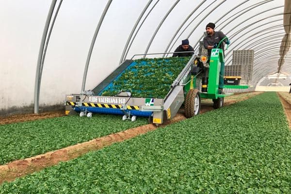 SLIDE VALERIANA ECO TRAX raccoglitrice elettrica valeriana