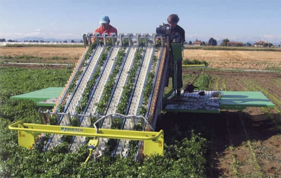 SLIDE TRAX SMALL raccoglitrice prodotti a foglia