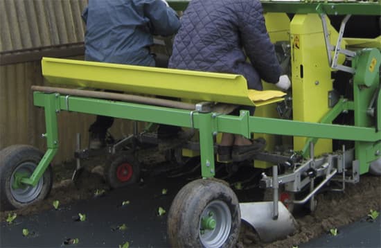 DUE MANUAL - DUE MANUAL MATIC