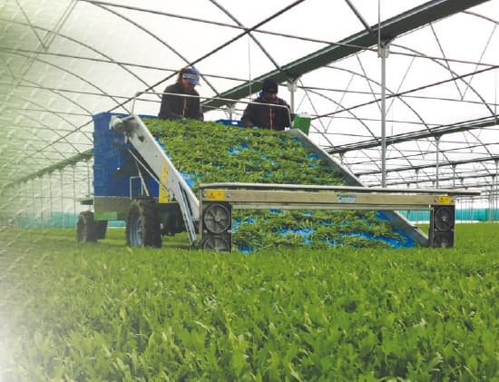 SLIDE ECO raccoglitrice elettrica per foglie da taglio