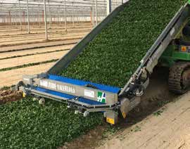 SLIDE TRAX VALERIANA raccoglitrice per valeriana