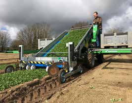 SLIDE CRAB VALERIANA raccoglitrice per coltura con radice