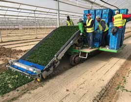 SLIDE TRAX VALERIANA raccoglitrice per valeriana