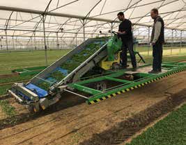 SLIDE CRAB VALERIANA raccoglitrice per coltura con radice