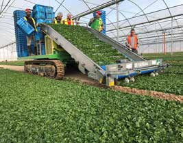SLIDE TRAX VALERIANA raccoglitrice per valeriana
