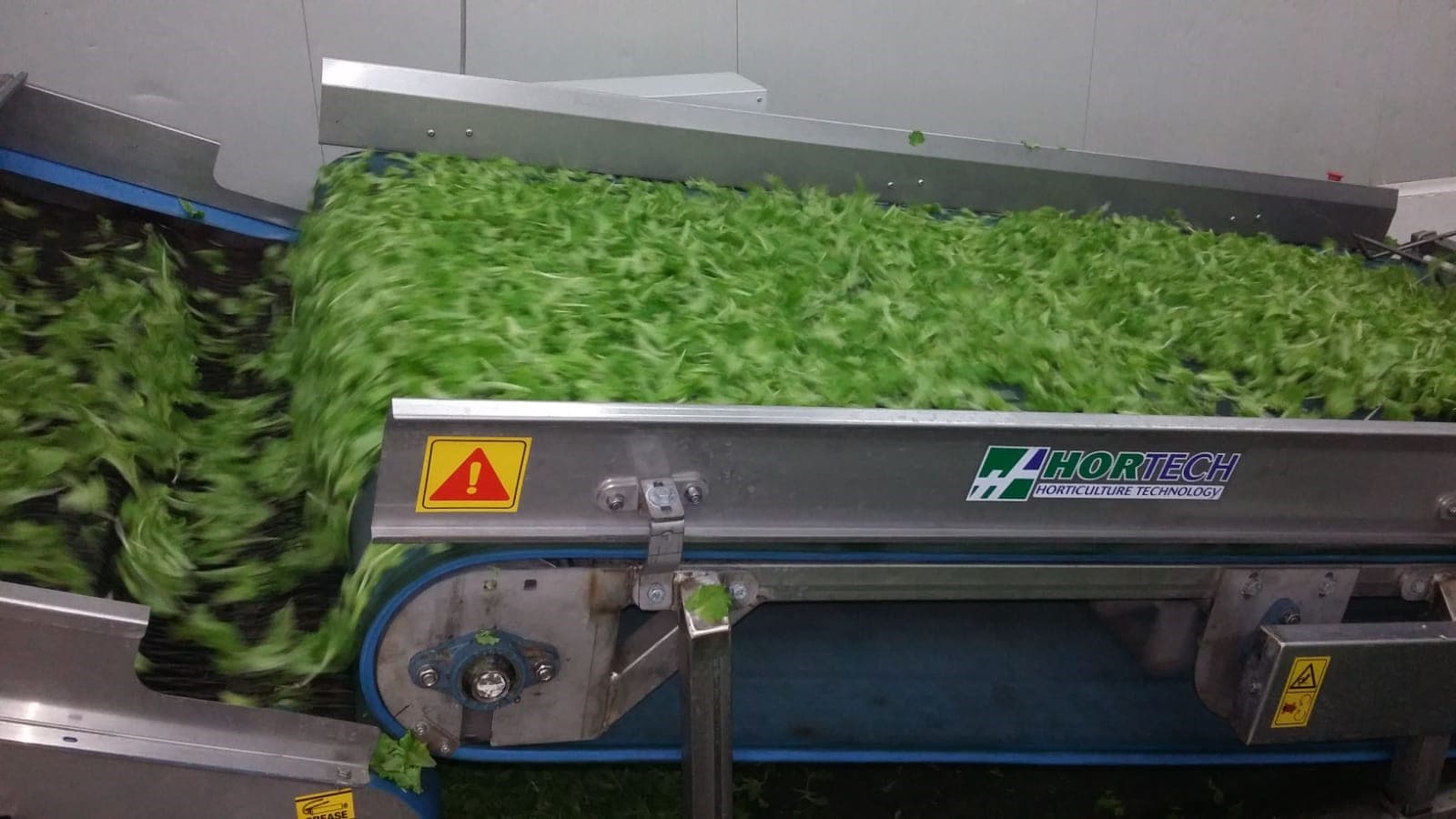 SHAKER STATION: pulizia di lattughino, rucola e spinacino