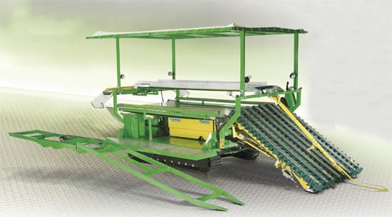 RAPID raccoglitrice prodotti a cespo, lattuga, radicchio
